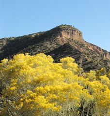 Pilar Mesa and Chamisa - B