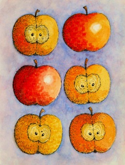Apples, Apples, Apples II - B