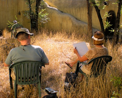 Sketching at Meredith's House