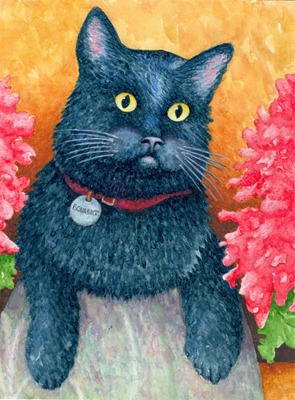 Plomondon's Cat - AR